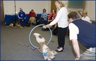Pet Therapy Pet Therapy